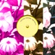 Night Mirrors Single
