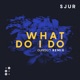 What Do I Do Dunisco Remix Single