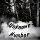 Unknown Number feat GEDIN Single