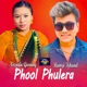 Phool Phulera Live Dohori