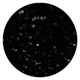 Sckt01 Single