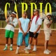 CARDIO feat Pacho the Coach Stone Samuel Siberian David Vexz Deezeeh Single