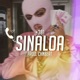 Sinaloa Single