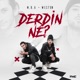 Derdin Ne Single