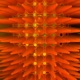 bizui Single