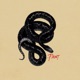 Paint Single