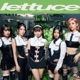 Lettuce Single