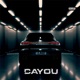 Cayou Single