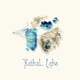 Baïkal Lake Live Single