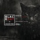 Black Cat Single