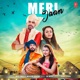 Meri Jaan Single