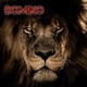 Domino feat Chucky Wop Single