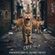 Cats feat Tone Spliff Single