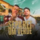 Separei Um Verde Single