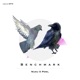 Benchmark Single