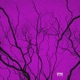 Veins Single