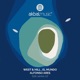 B2B Series 07 Single