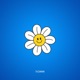 Daisy Single