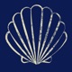 Seashells Single