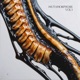 MUTAMORPHOSIS Vol 1 Single