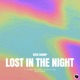 Lost in the Night Single