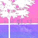BRIEF SUNSHINE Single
