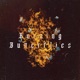Burning Butterflies Single