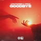 Goodbye Single