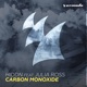 Carbon Monoxide feat Julia Ross Single