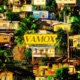 VAMOX Single
