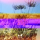 All of Your Love Single