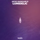Artist Showcase 01 Lumidelic