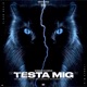 Testa mig feat Denz Single