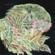 Venom EP