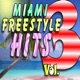 Miami Freestyle Hits Vol 3