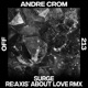 Surge Re Axis About Love Remix Single