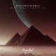 Electric Riddle feat eugenio izzi Single