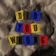 Did You Wrong Single
