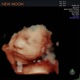 New Moon Single