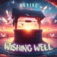 Wishing Well Single