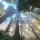 balenci02 x natechure EP