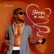 Shida Ni Nini Single