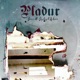 Pladur feat DJ Kronic Single