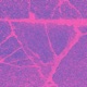 Nearer EP
