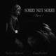 Sorry Not Sorry feat Rebecca Richards Remix Single
