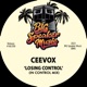 Losing Control Single