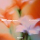 WILDFLOWER Single