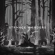 Strange Wonders Single