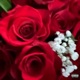 Lover Boy 4 EP