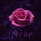 cras es noster sped up Single